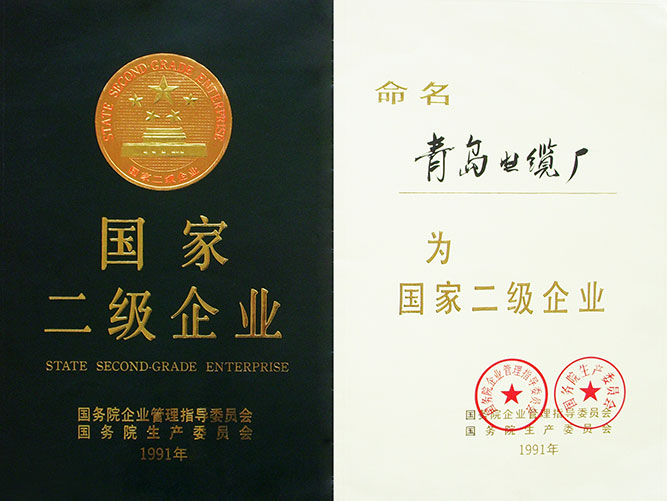 國家二級企業(yè)證書(shū)